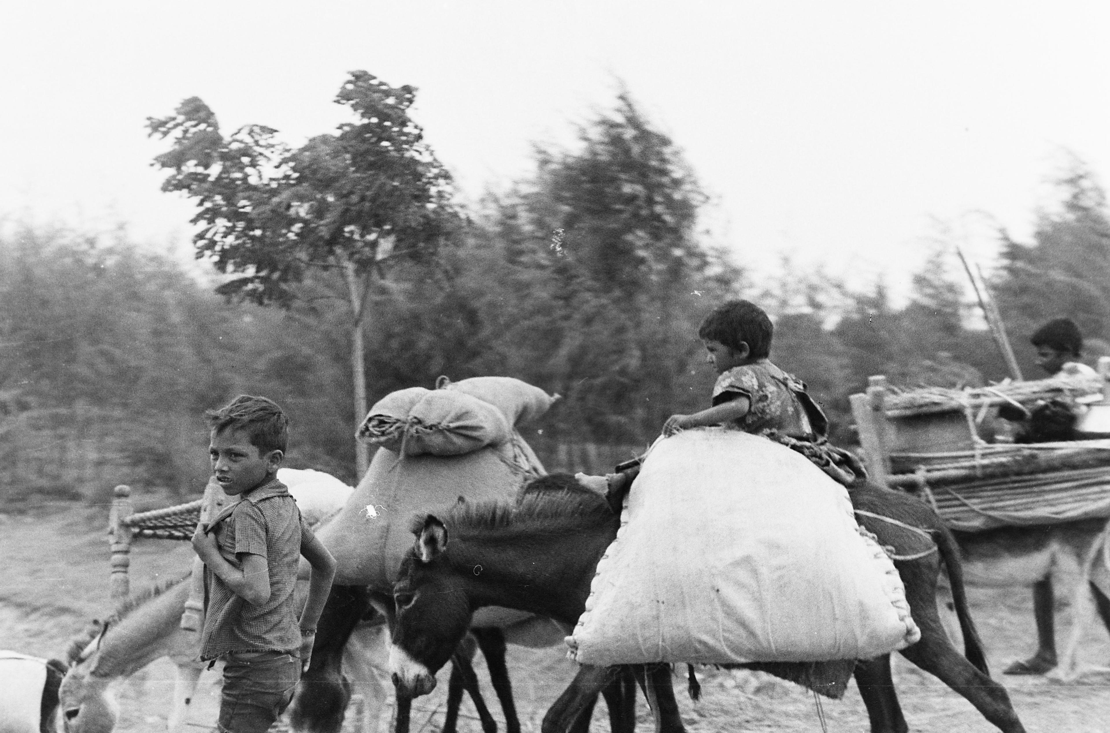 NTR BLACK AND WHITE NEGATIVES 119